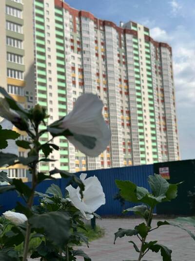 properties-3
