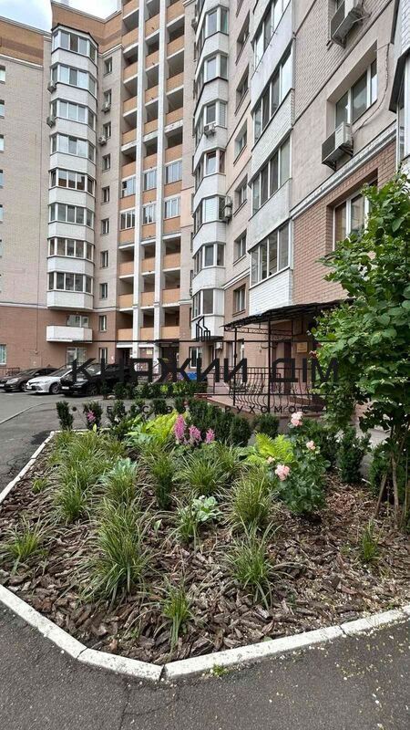 ���� ������� �10