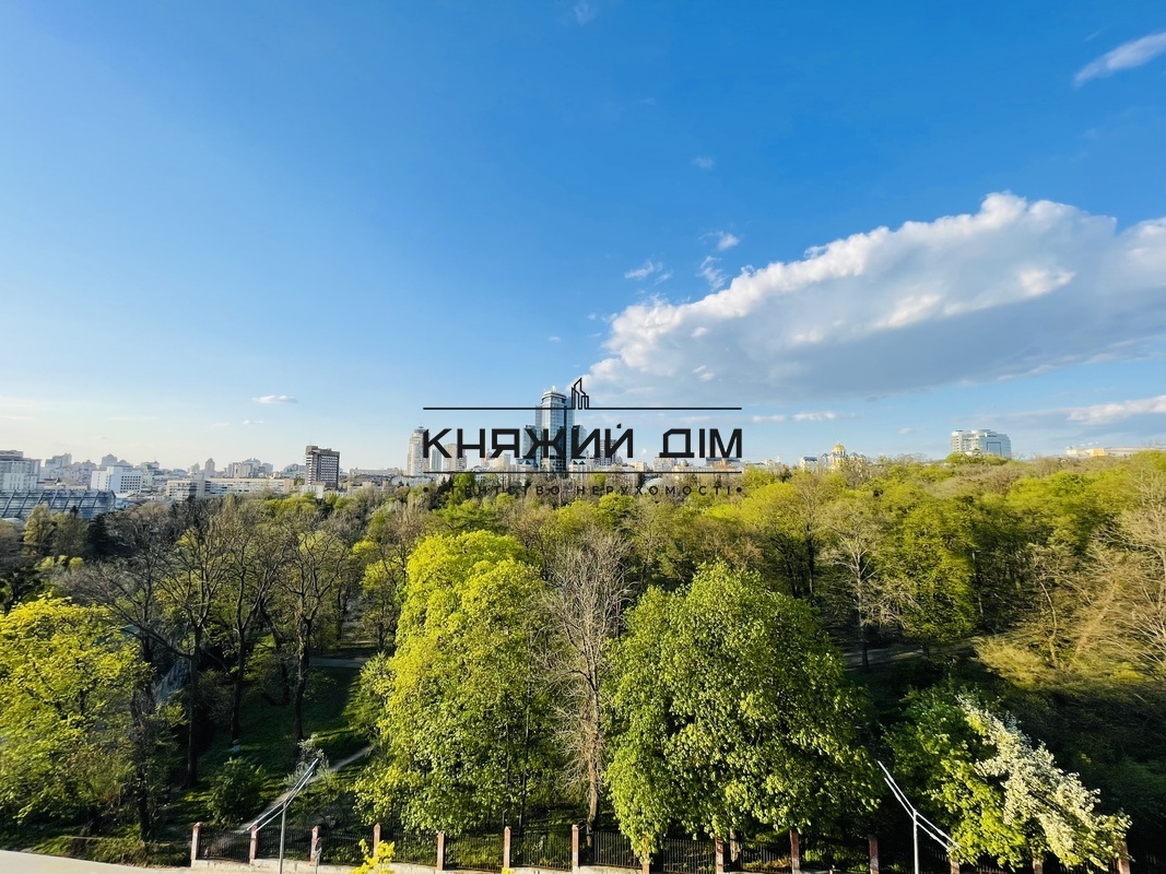 ���� ������� �11