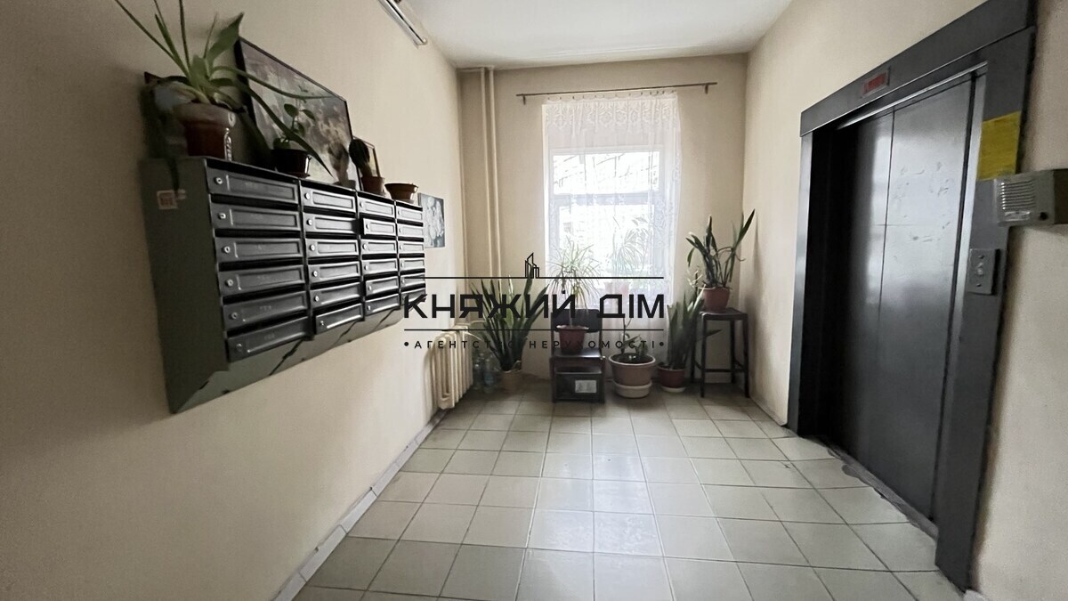 ���� ������� �24