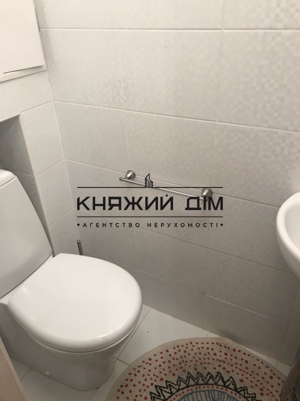 ���� ������� �13