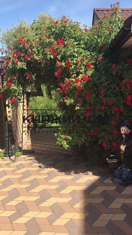 ���� ������� �8