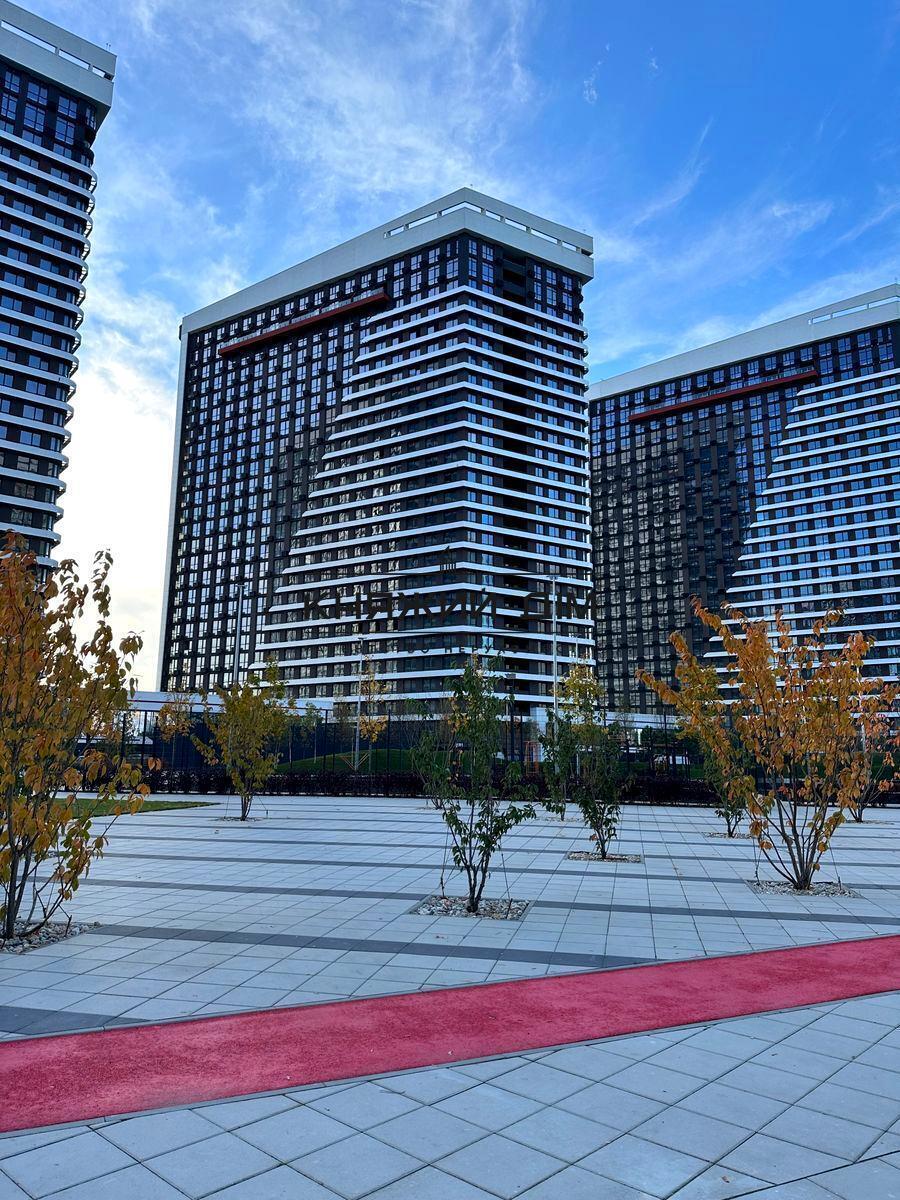 ���� ������� �12