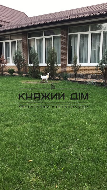 ���� ������� �4