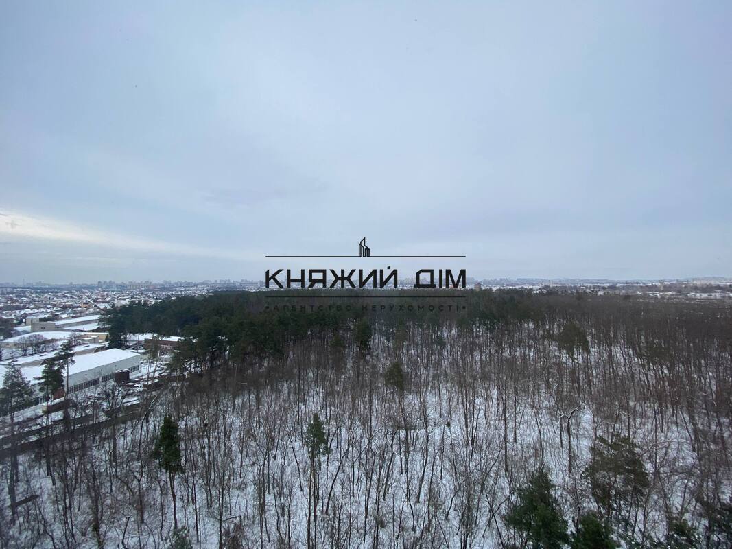 ���� ������� �3