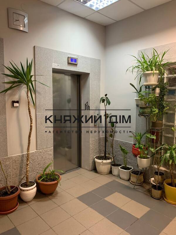 ���� ������� �26