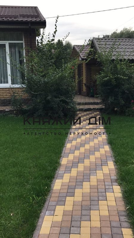 ���� ������� �6