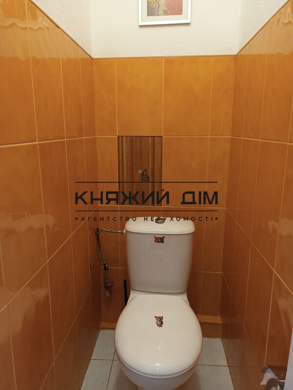 ���� ������� �13