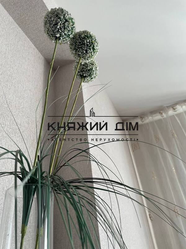 ���� ������� �35