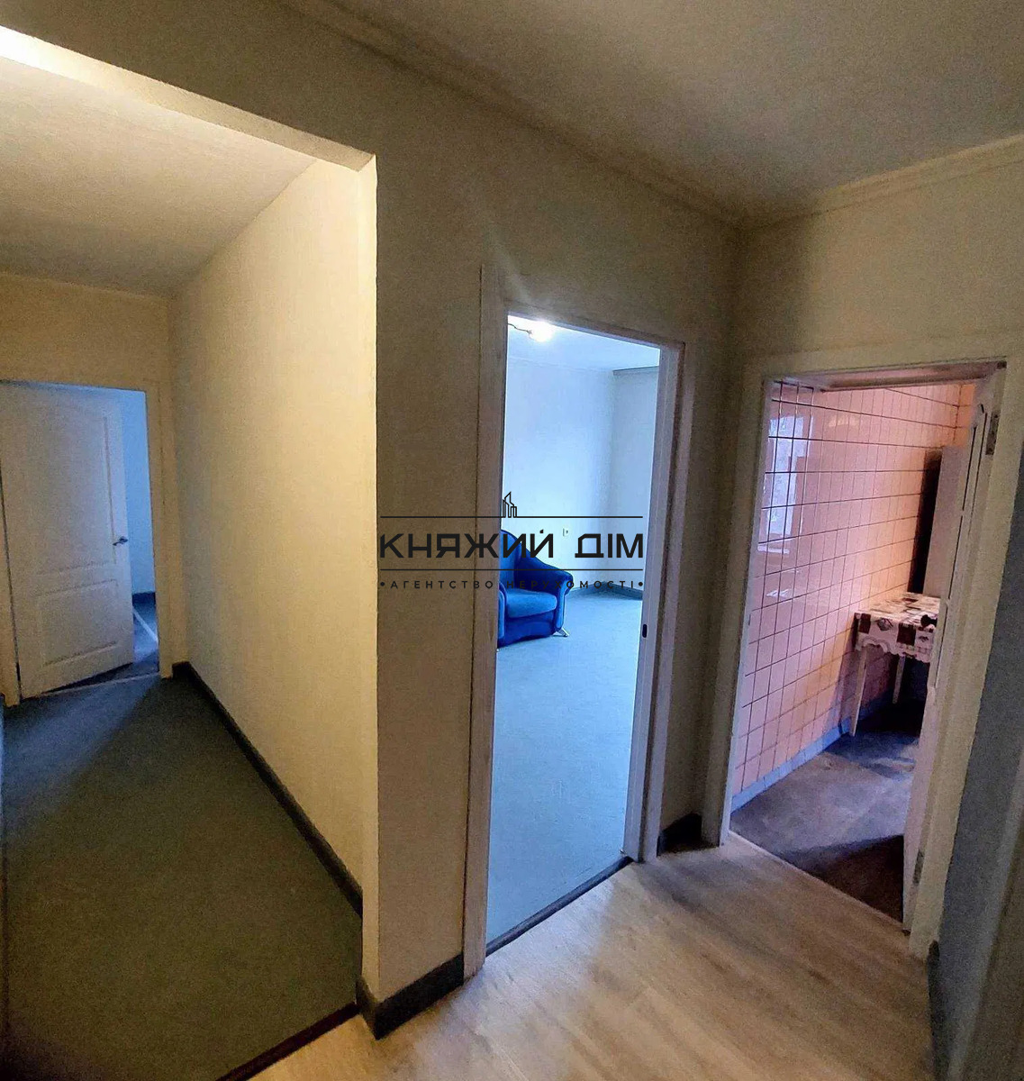 ���� ������� �5