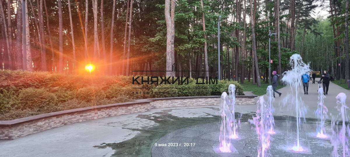 ���� ������� �10