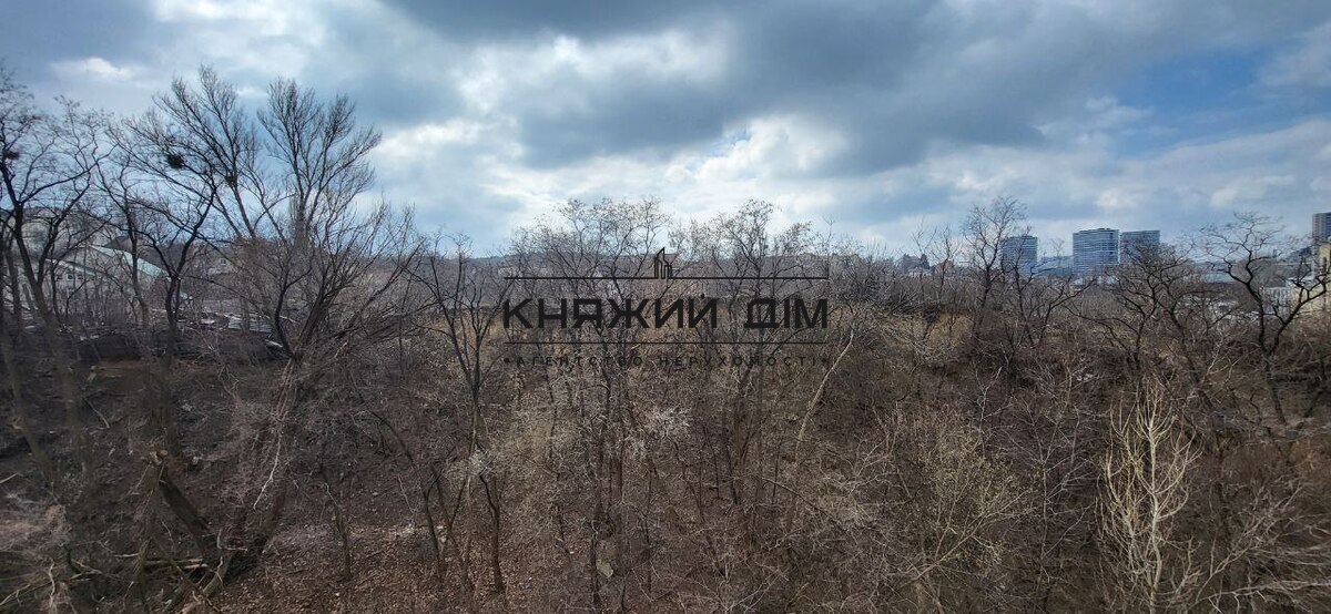 ���� ������� �24