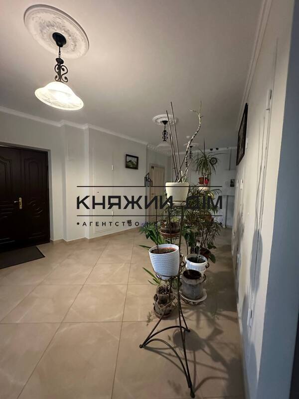 ���� ������� �41