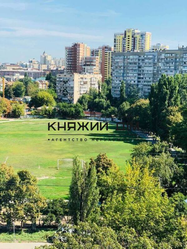 ���� ������� �13