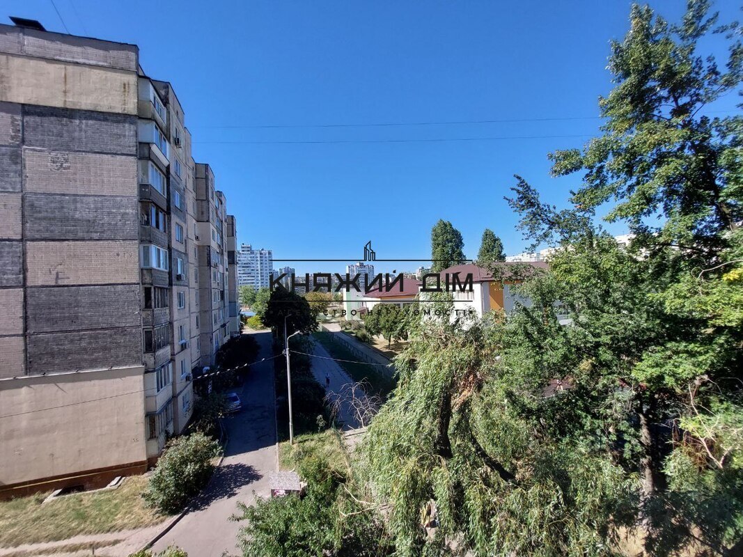 ���� ������� �31