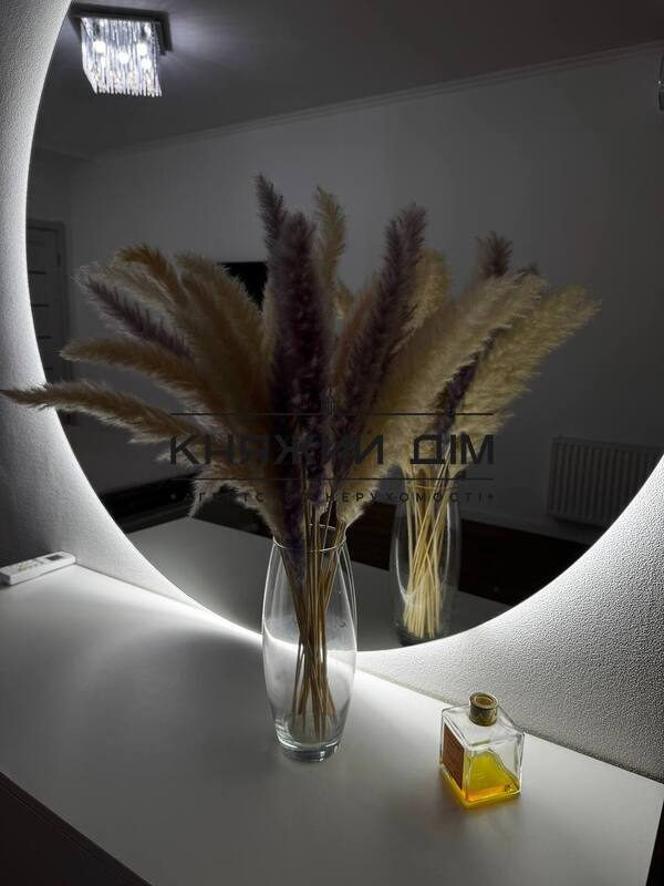 ���� ������� �24