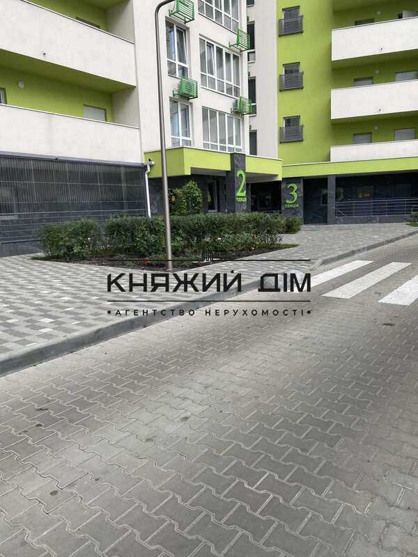 ���� ������� �24