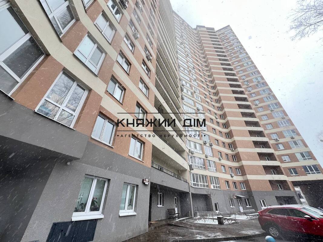 ���� ������� �24