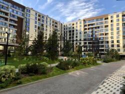 ���� ������� ���� �11