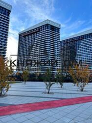 ���� ������� ���� �12