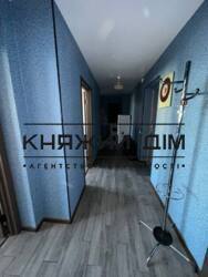 ���� ������� ���� �11