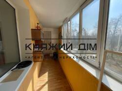 ���� ������� ���� �13