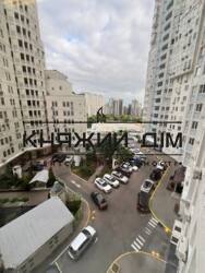 ���� ������� ���� �31