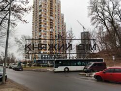 ���� ������� ���� �11