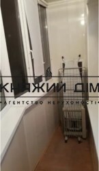 ���� ������� ���� �9
