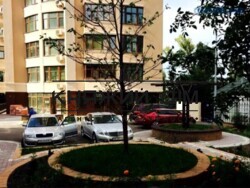 ���� ������� ���� �13