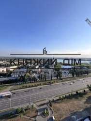 ���� ������� ���� �11