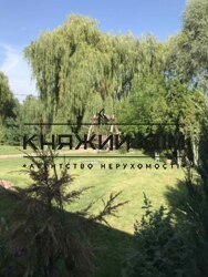 ���� ������� ���� �10