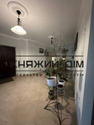 ���� ������� ���� �41