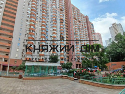 ���� ������� ���� �14