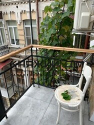 ���� ������� ���� �12