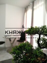 ���� ������� ���� �4