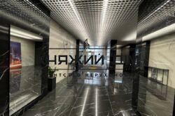 ���� ������� ���� �12