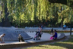 ���� ������� ���� �19