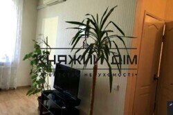 ���� ������� ���� �10