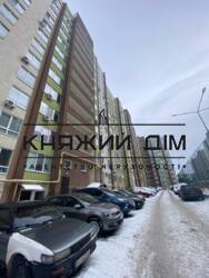 ���� ������� ���� �11