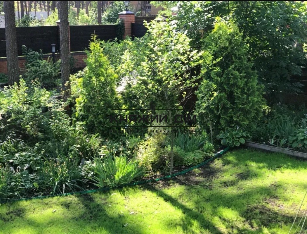 ���� ������� �20