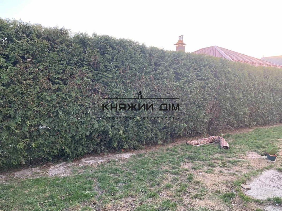 ���� ������� �6