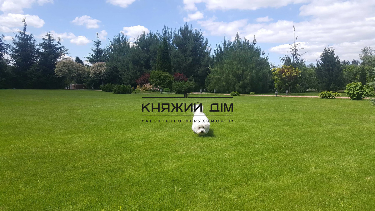 ���� ������� �1