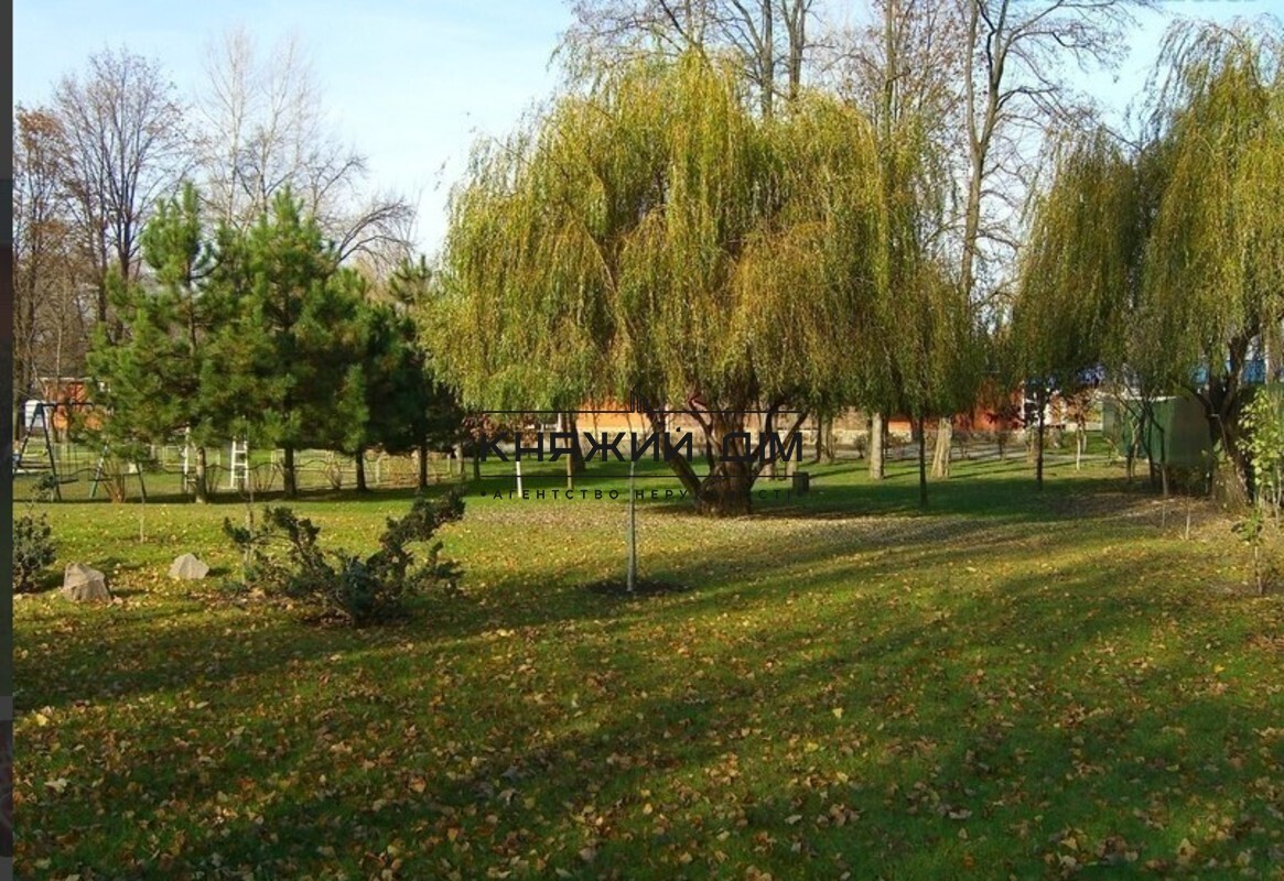 ���� ������� �9