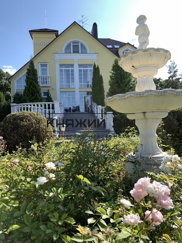 ���� ������� �5