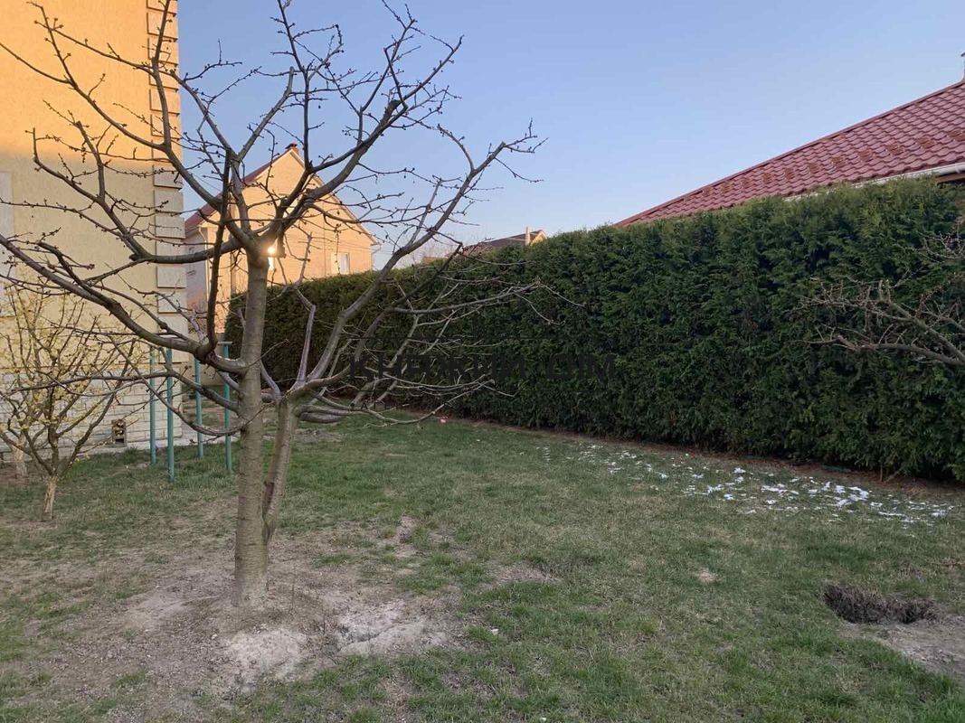 ���� ������� �5