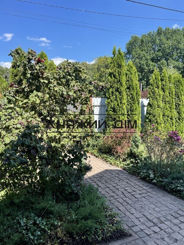 ���� ������� �2