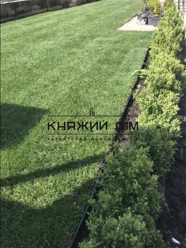 ���� ������� �3