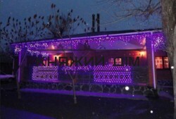 ���� ������� ���� �11