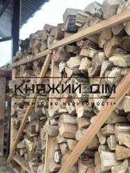 ���� ������� ���� �23